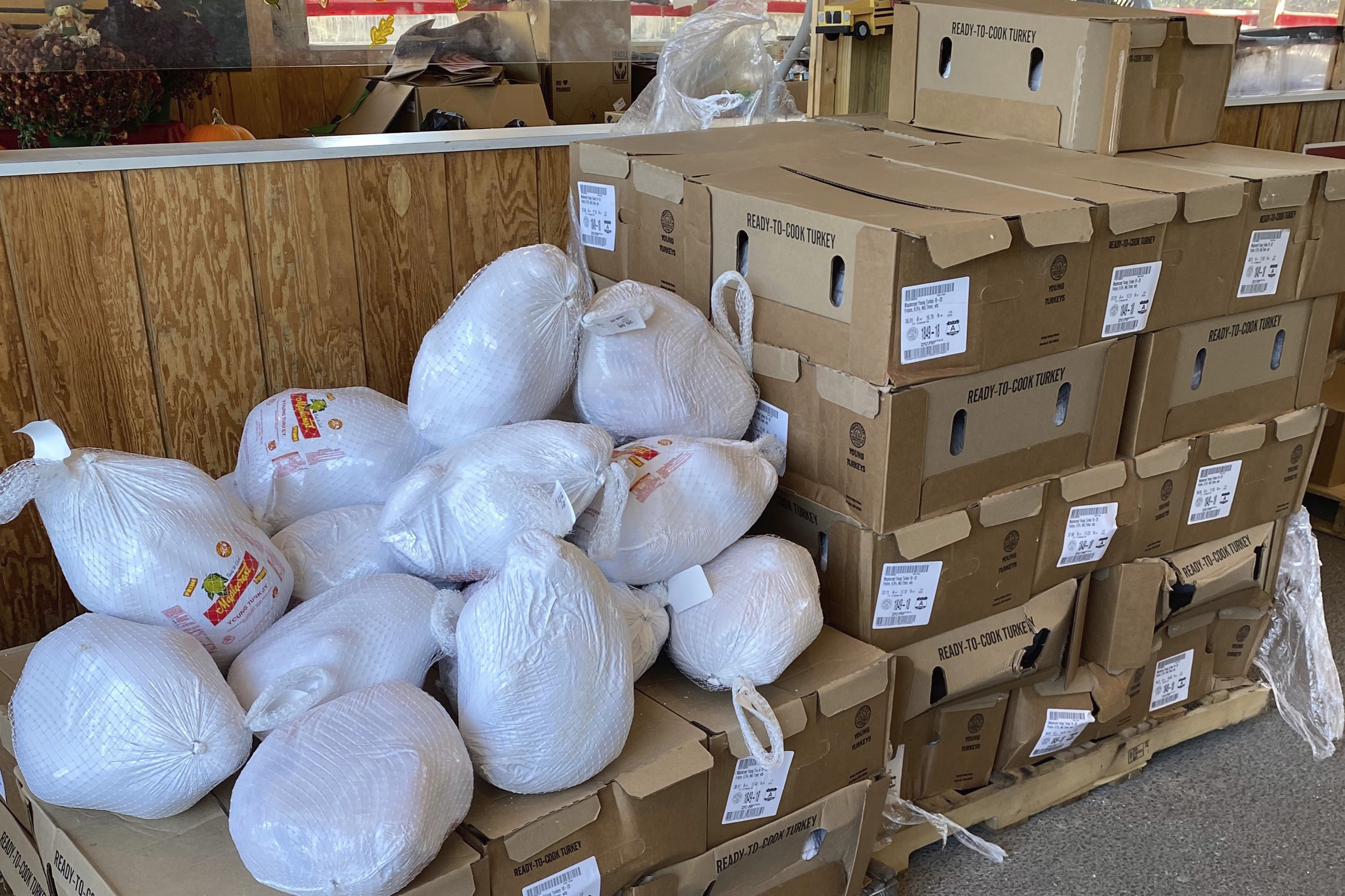 montauk bus turkey drive